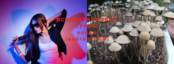мескалин Богданович