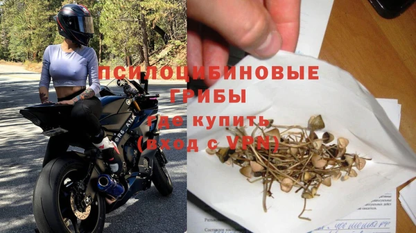 прущая мука Богородицк