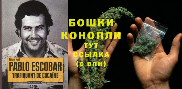 мескалин Богданович