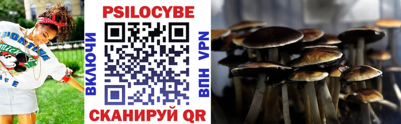 мега маркетплейс  Волжский  Псилоцибиновые грибы Cubensis 